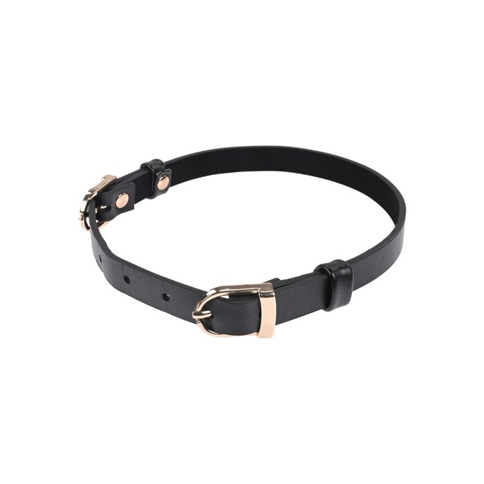 Double Buckle Day Collar