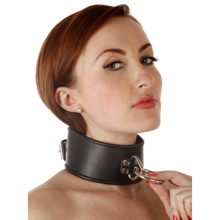 Leather Posture V Ring Collar