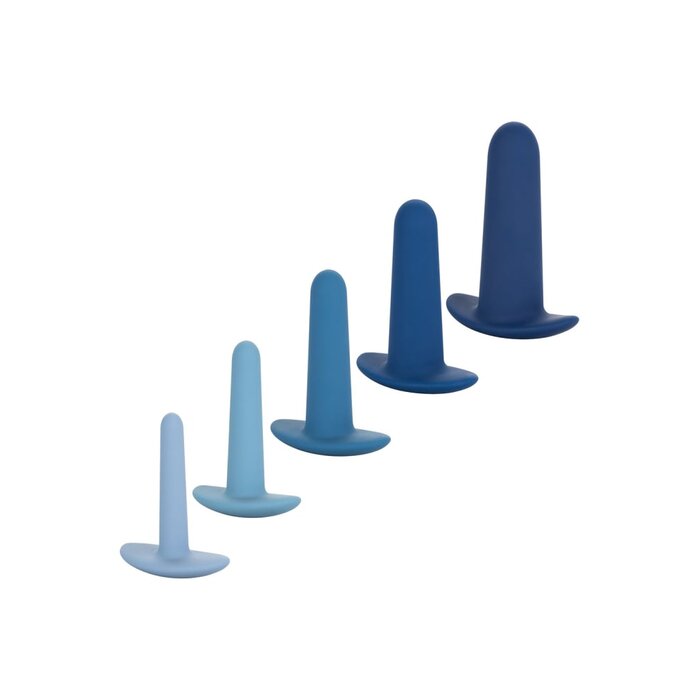 They-ology 5-Piece Wearable Anal Training Set