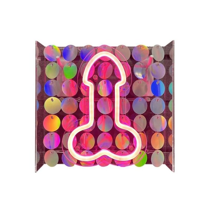 Neon Light Up Penis Sign