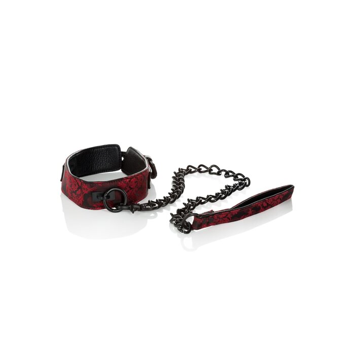 Scandal Collar with Leash