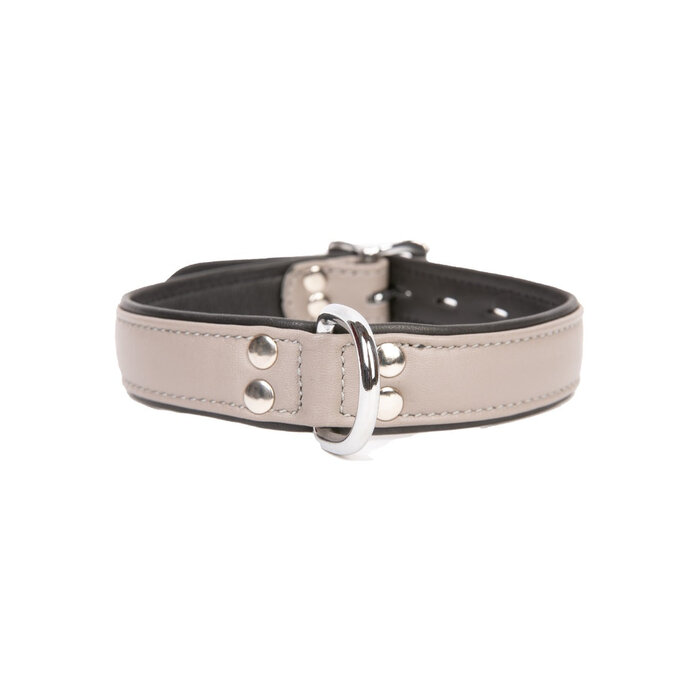 Grey Leather D-Ring Collar with Black Piping
