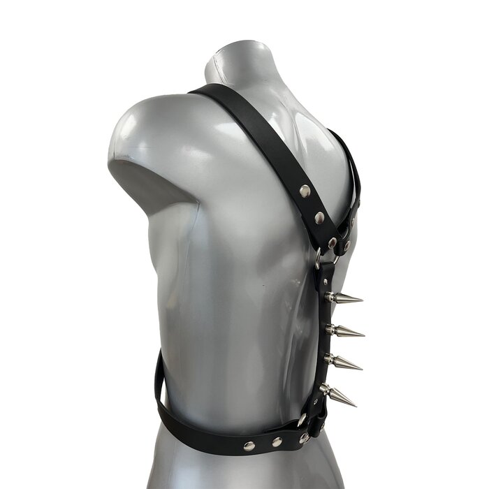 Harness With 2" Cone Spiked Backbone