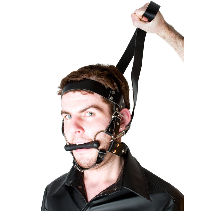 Leather Bondage Pony Harness