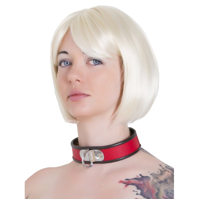 Leather D Ring Collar