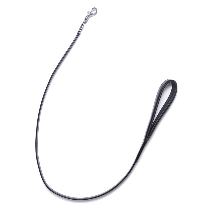 Clearance - Black Leather Reinforced Leash