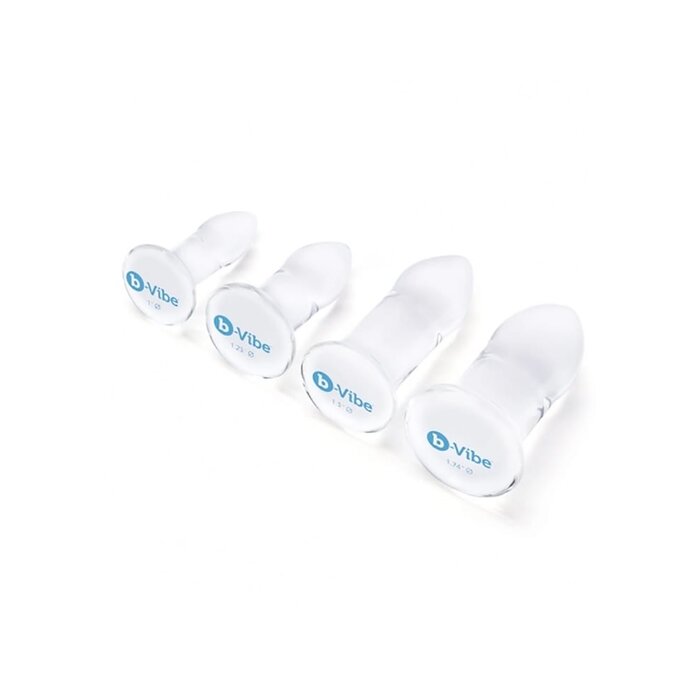 Glass Anal Dilator 4 Piece Set