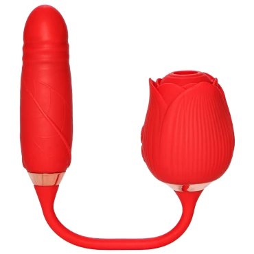 Blissful Bouquet Clit Stimulator & Thrusting Love Egg