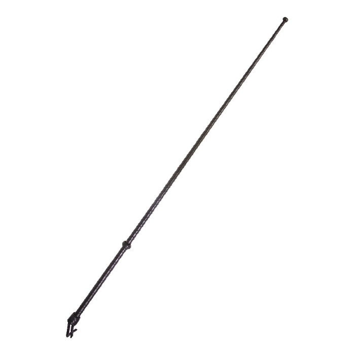 Black Twisted Leather Cane