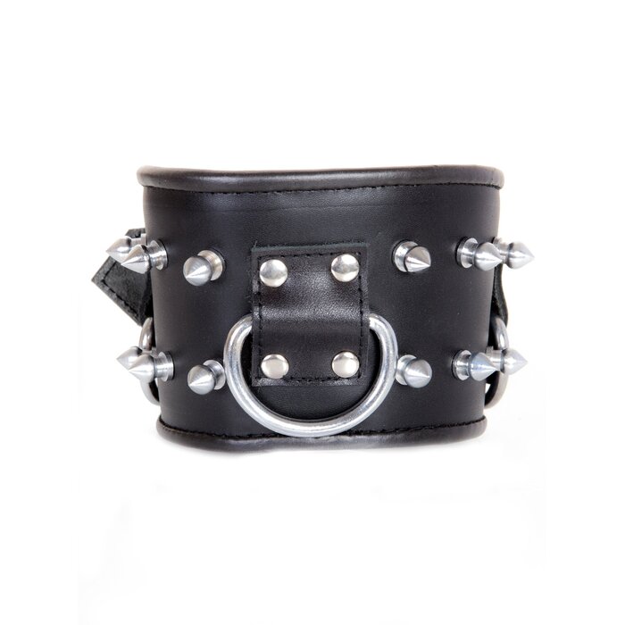 Leather Spike Posture Collar