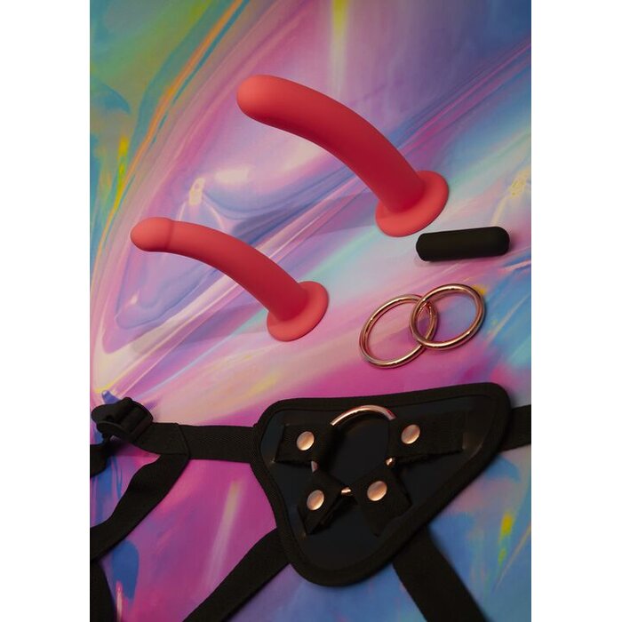 Ann Summers Be Proud 4 Piece Vibrating Strap On Set