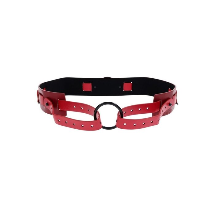 Ex's and Oh's Bound and Belted