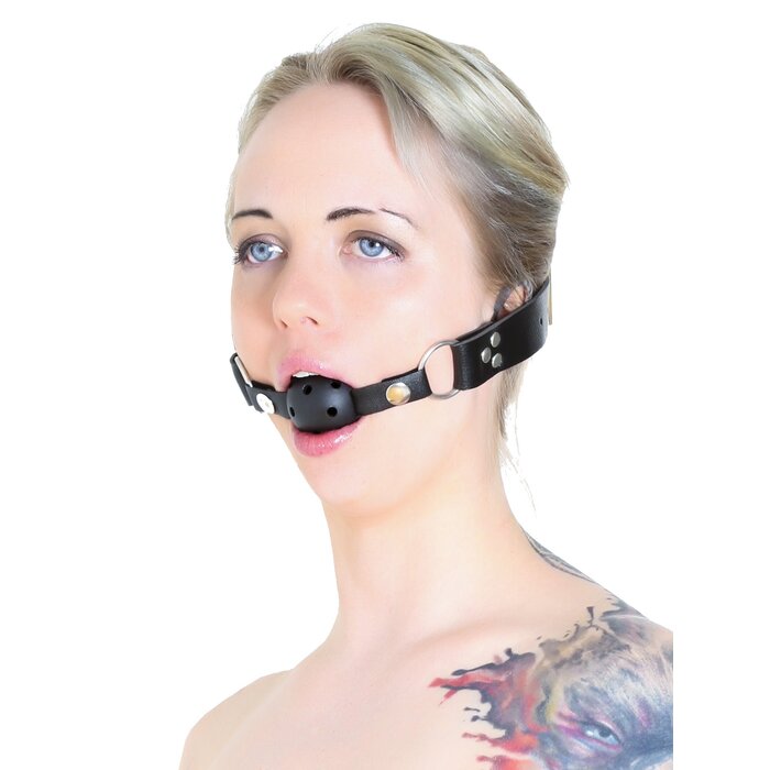 Ball Gag Training System