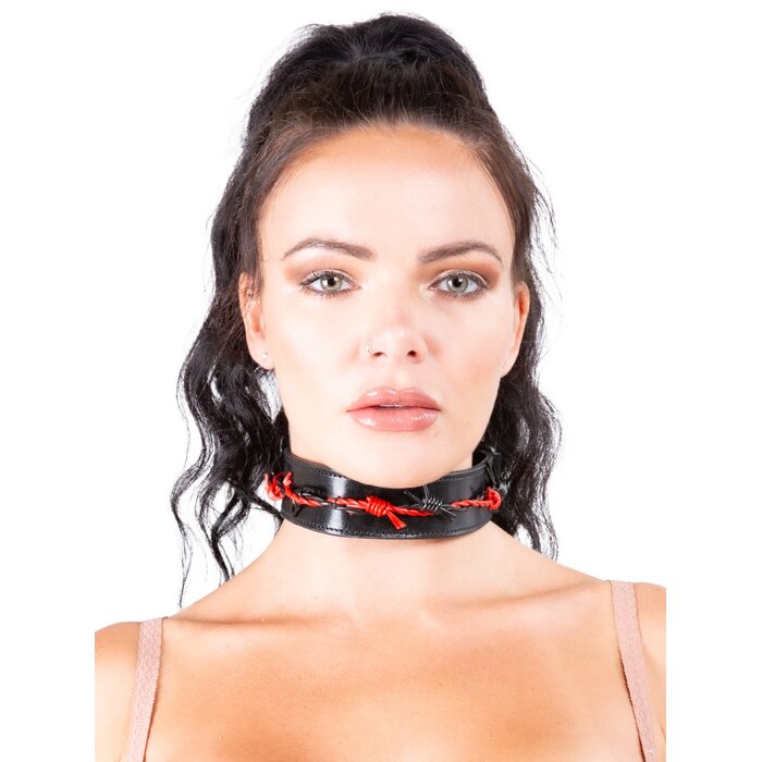 Black & Red Barbed Collar