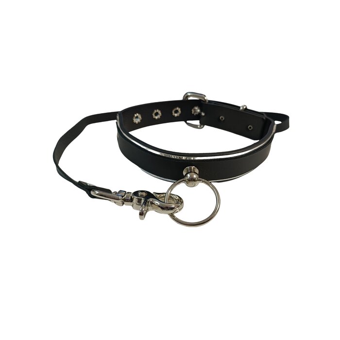 Metal & Leather Plated Collar With O Ring & Leash