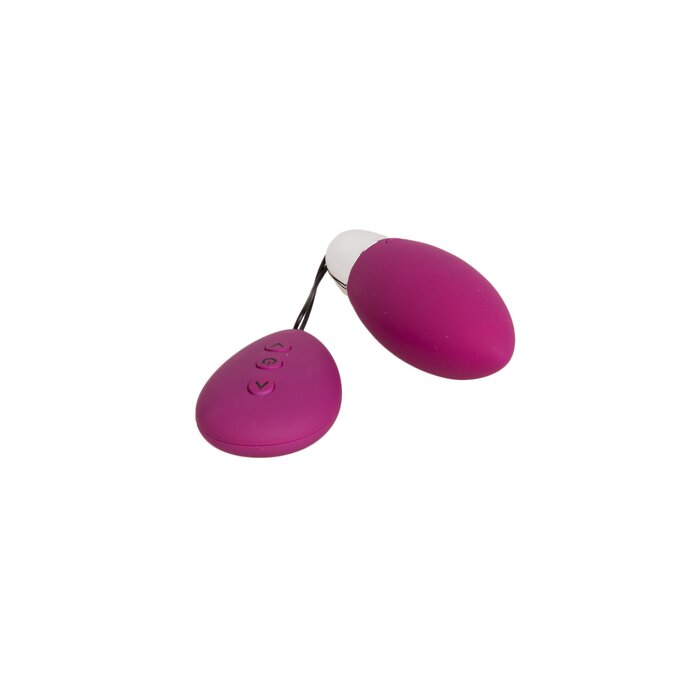 Remote Control Deluxe Love Egg