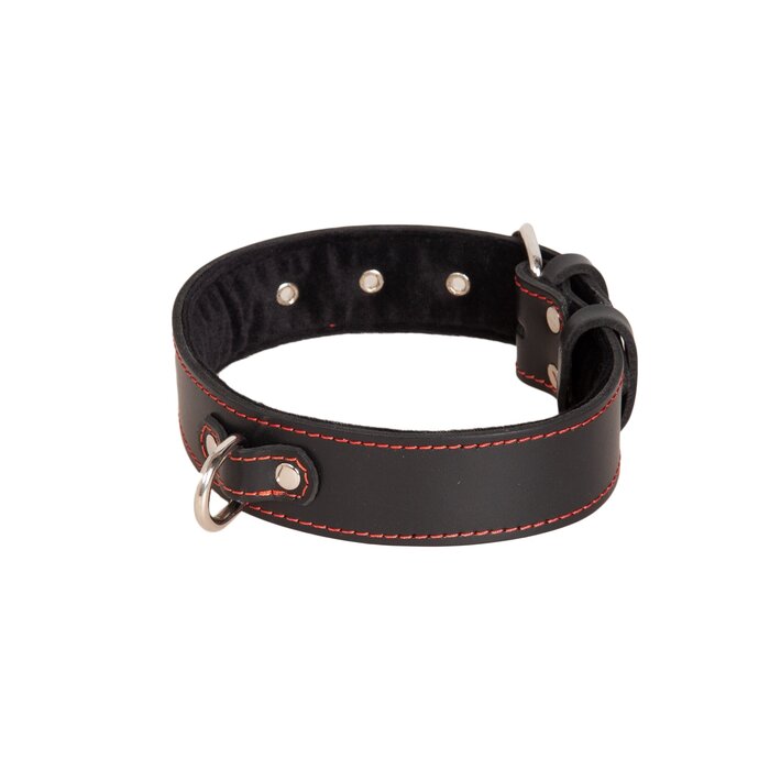 Red Seamed D-Ring Collar
