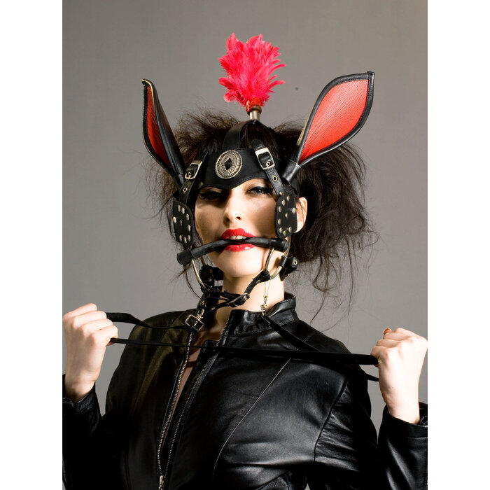 Leather Pony Girl Head Harness with Ears