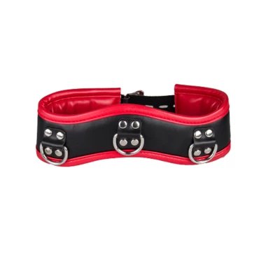 Crimson Control Black & Red Posture Collar