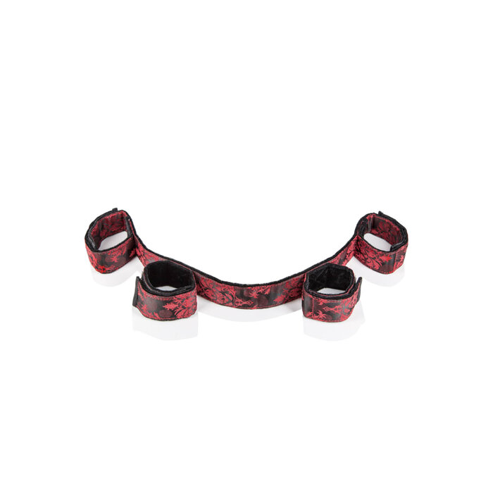 Scandal Bondage Bar