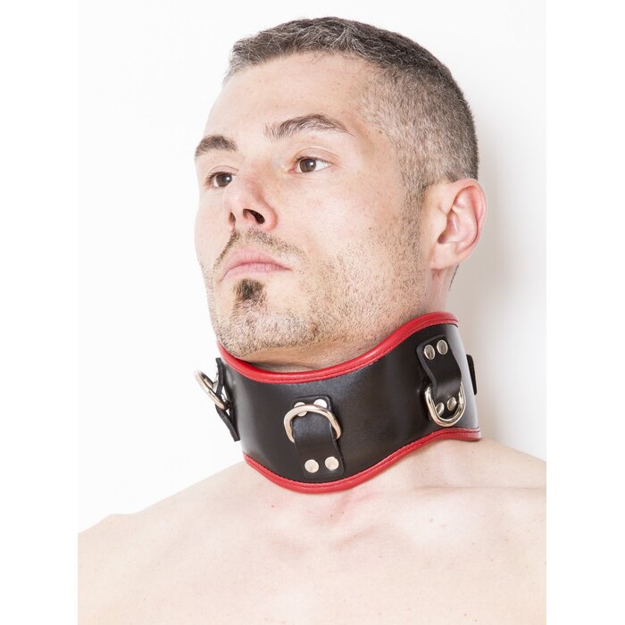 Red & Black Leather Posture Collar