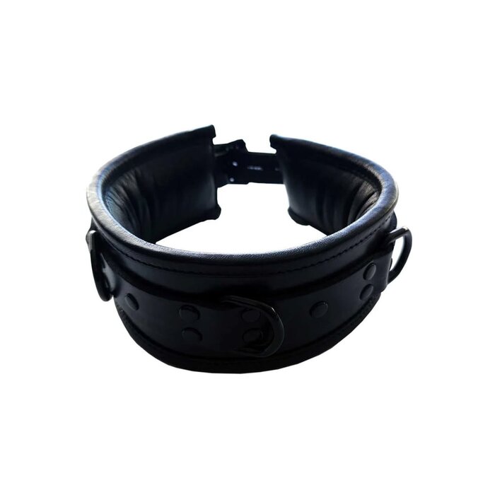 Black Leather Padded Collar with Black Hardware