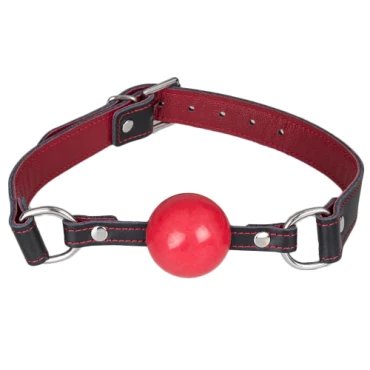 Black and Red Leather Silicone Ball Gag
