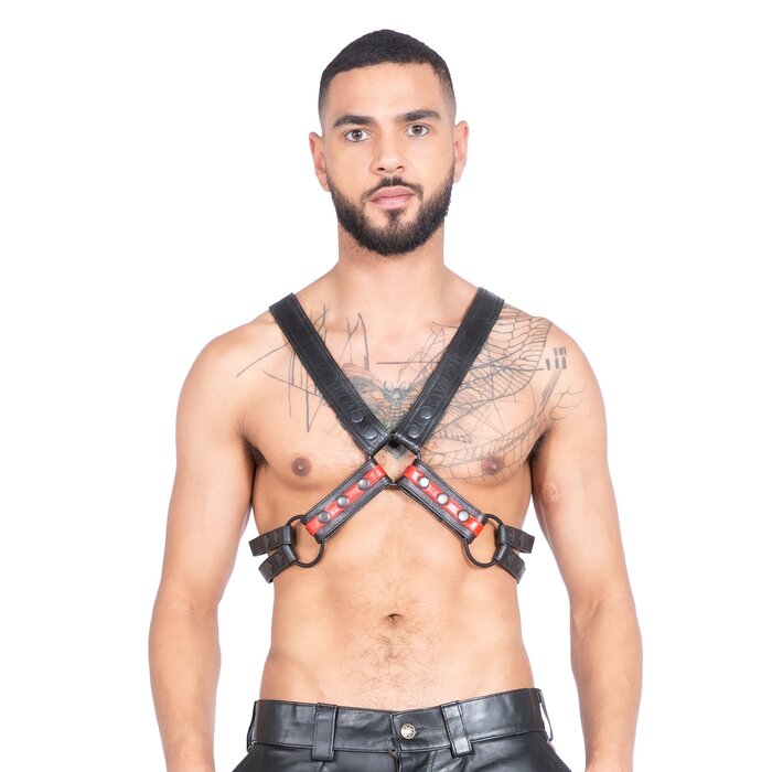 Mens Multi-Strap Bondage Harness