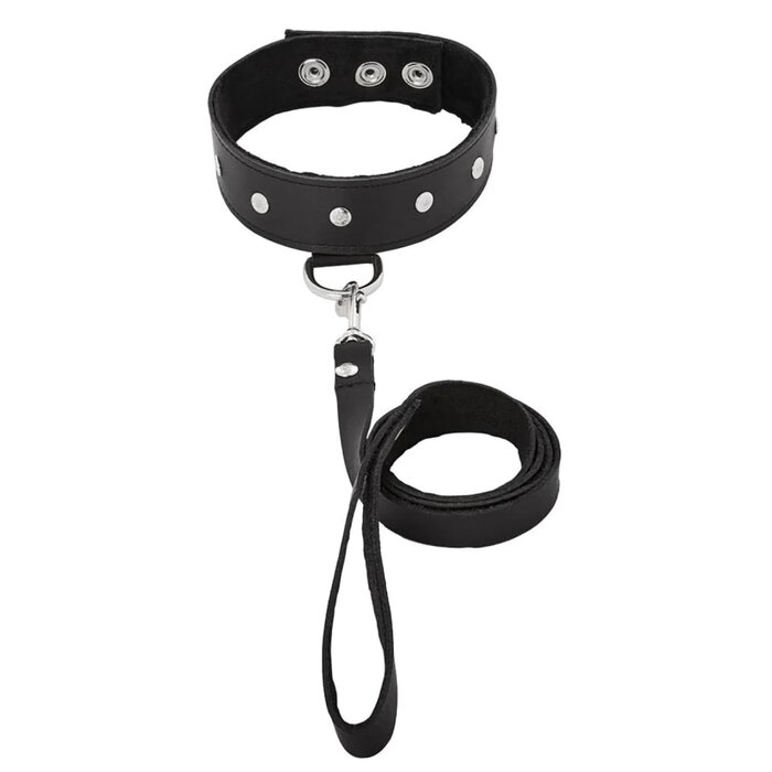 Leather Leash and Collar Set