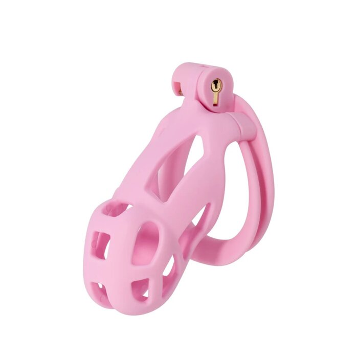 Penis Prison Cock Cage Regular