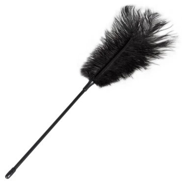 Black Plume Ostrich Feather Tickler - 17 Inch