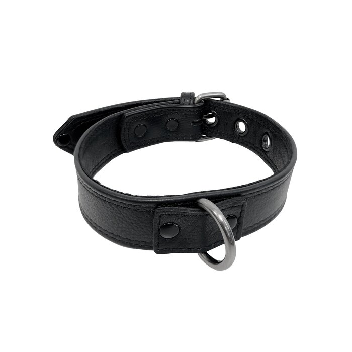 Basic D Ring Collar