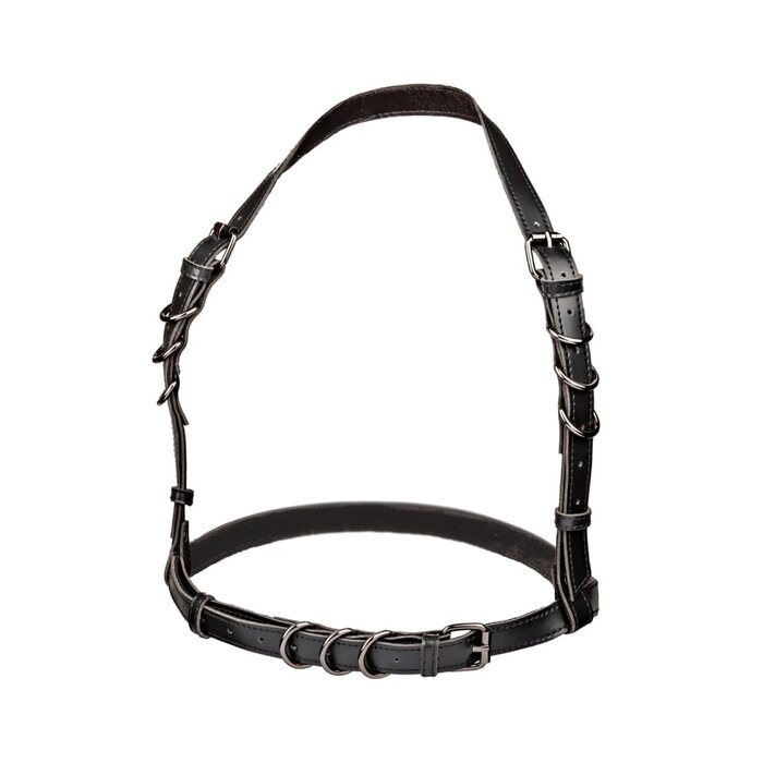 Euphoria Collection Halter Buckle Harness