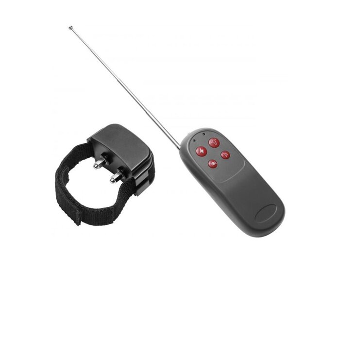 Cock Shock Remote Control CBT Electric Cock Ring