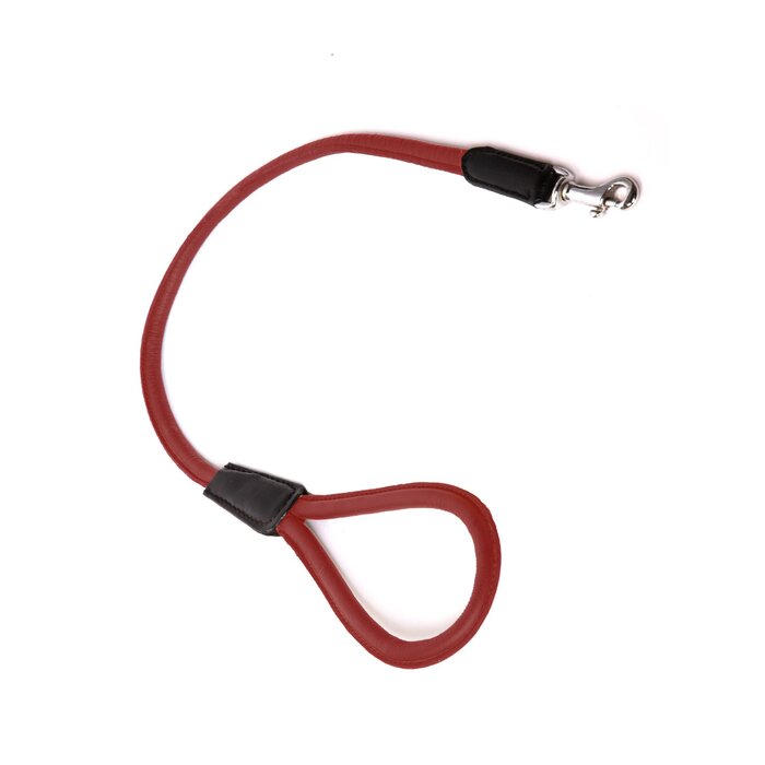 Burgundy Leather Petite Leash