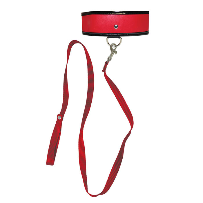 Red Leash and Collar