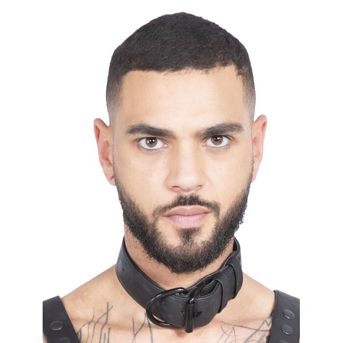 Bulldog Bondage Collar Black - One Size