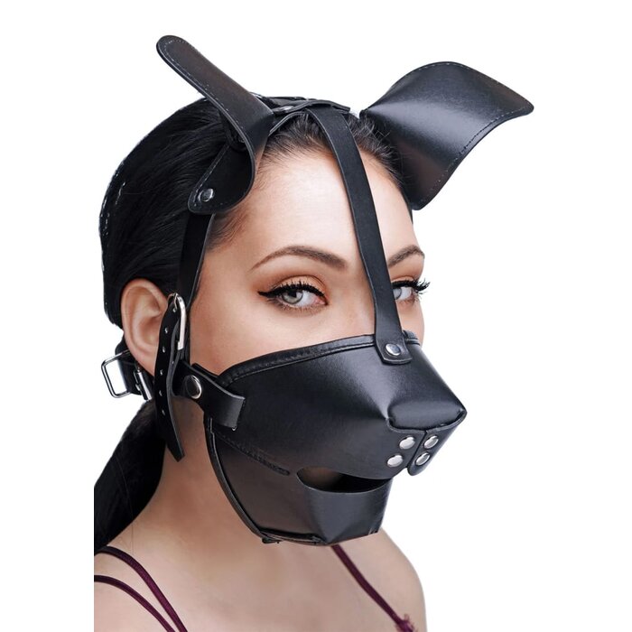 Pup Puppy Play Hood And Breathable Ball Gag