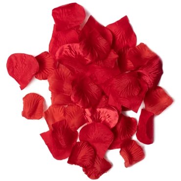 Eternal Flame Red Rose Petals
