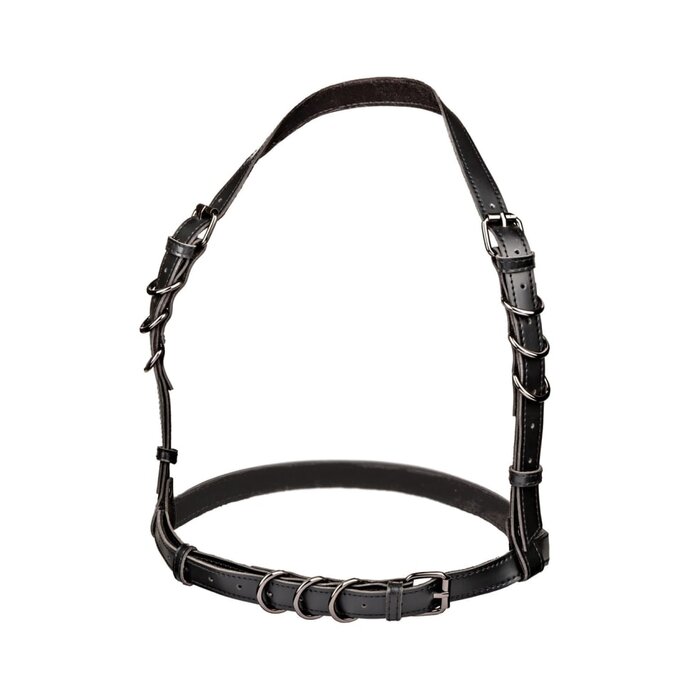 Euphoria Collection Halter Buckle Harness - Plus Size