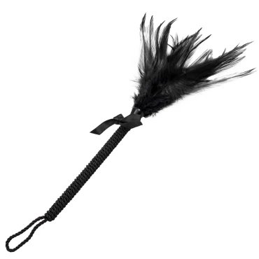 Shake Your Tail Feather Tickler - 9.8 Inch