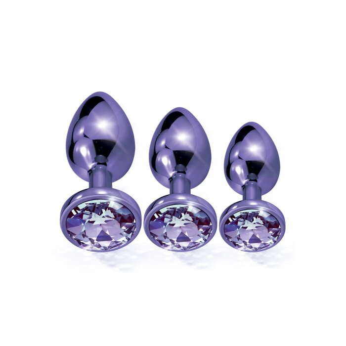 Nixie Metal Butt Plug Trainer Set - Purple
