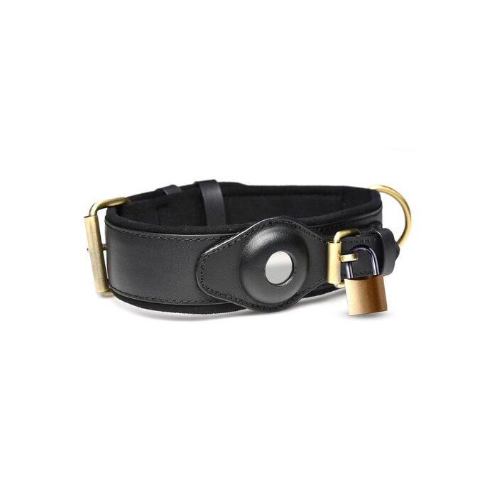 Tracer Tracking Collar