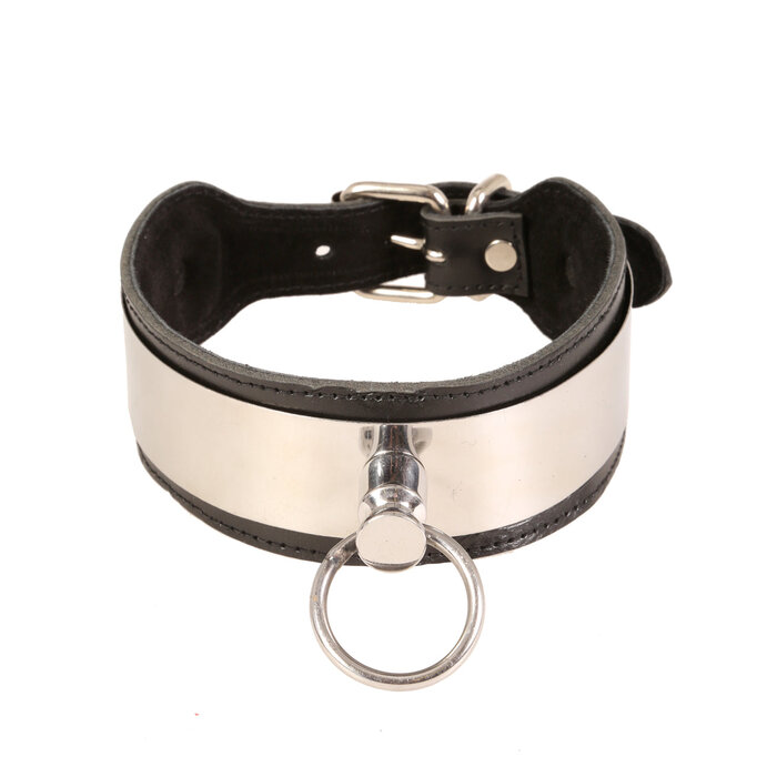 Leather Metal Strip Collar
