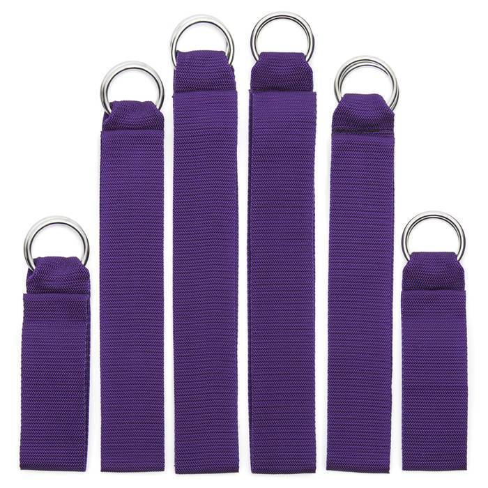 Purple Reins Bondage Straps (6 Pieces)