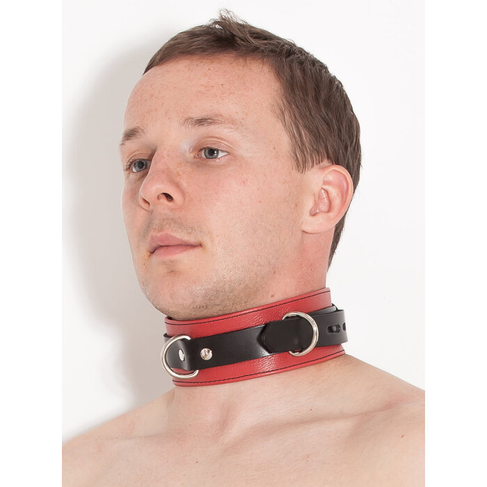 Deluxe Locking Red and Black Collar