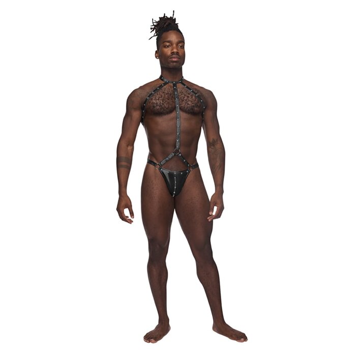 Gladiator - Large/X-Large
