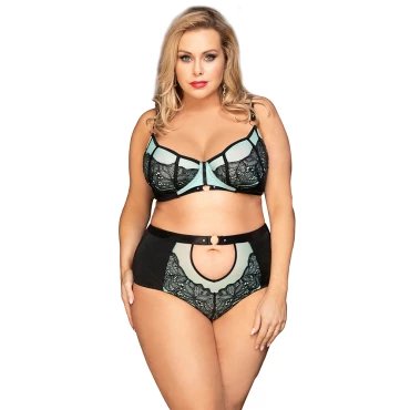 Luscious Love Plus Size Bra & High-Waisted Knicker - 2XL