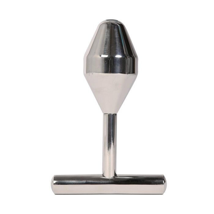 Metal Pleasure Anal Probe