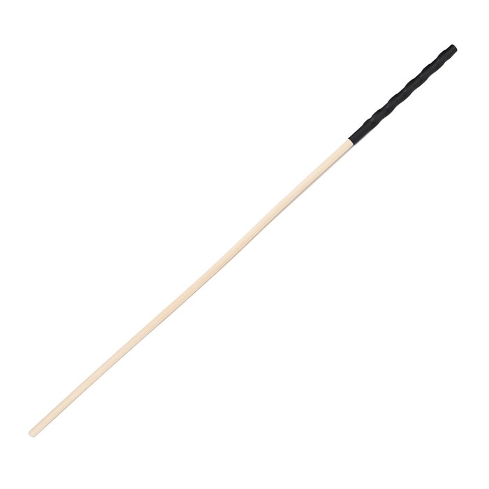 Bound to Please Spanking Cane